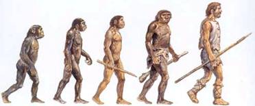 Resultado de imagem para evolução do ser humano